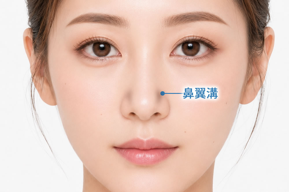 鼻翼溝の位置