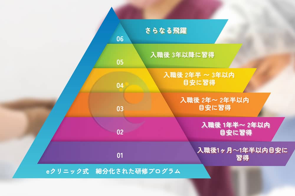 美容外科医の研修プログラム
