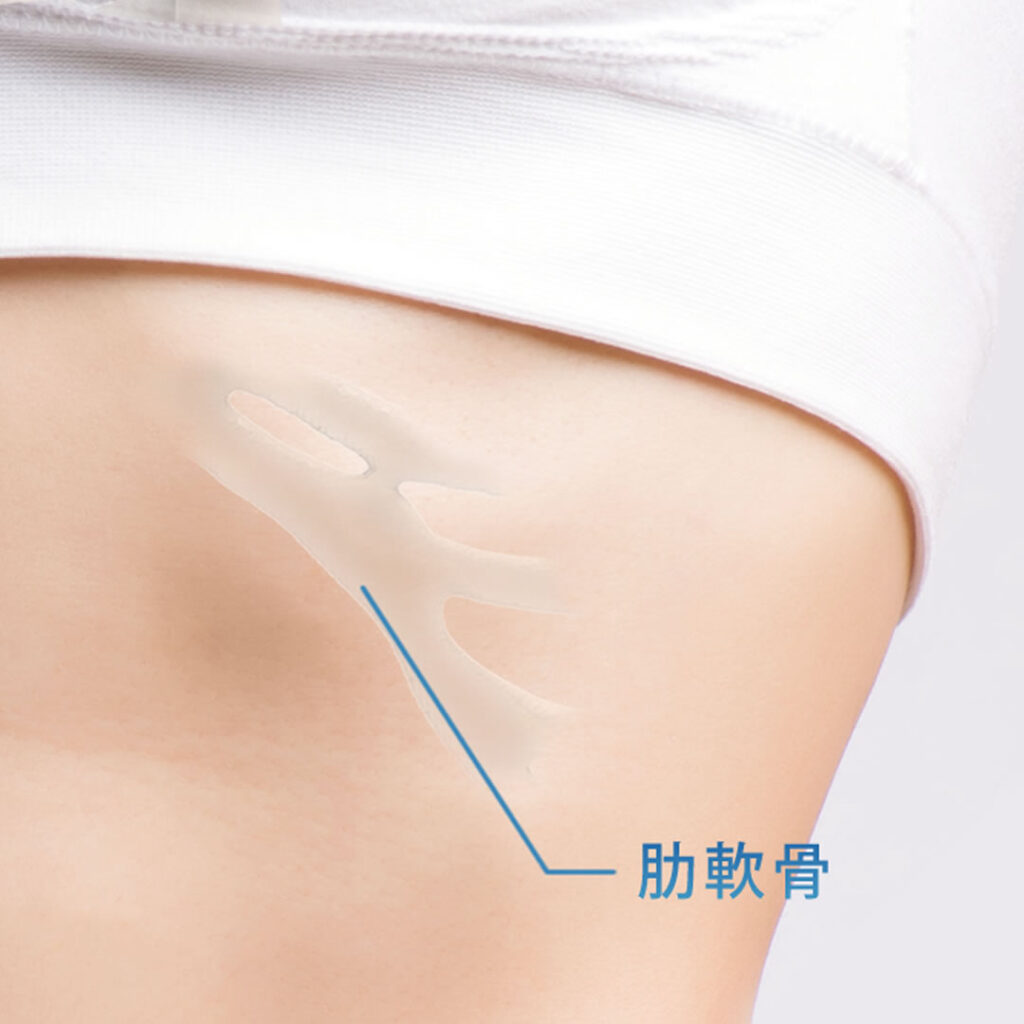 肋軟骨の位置のイメージ