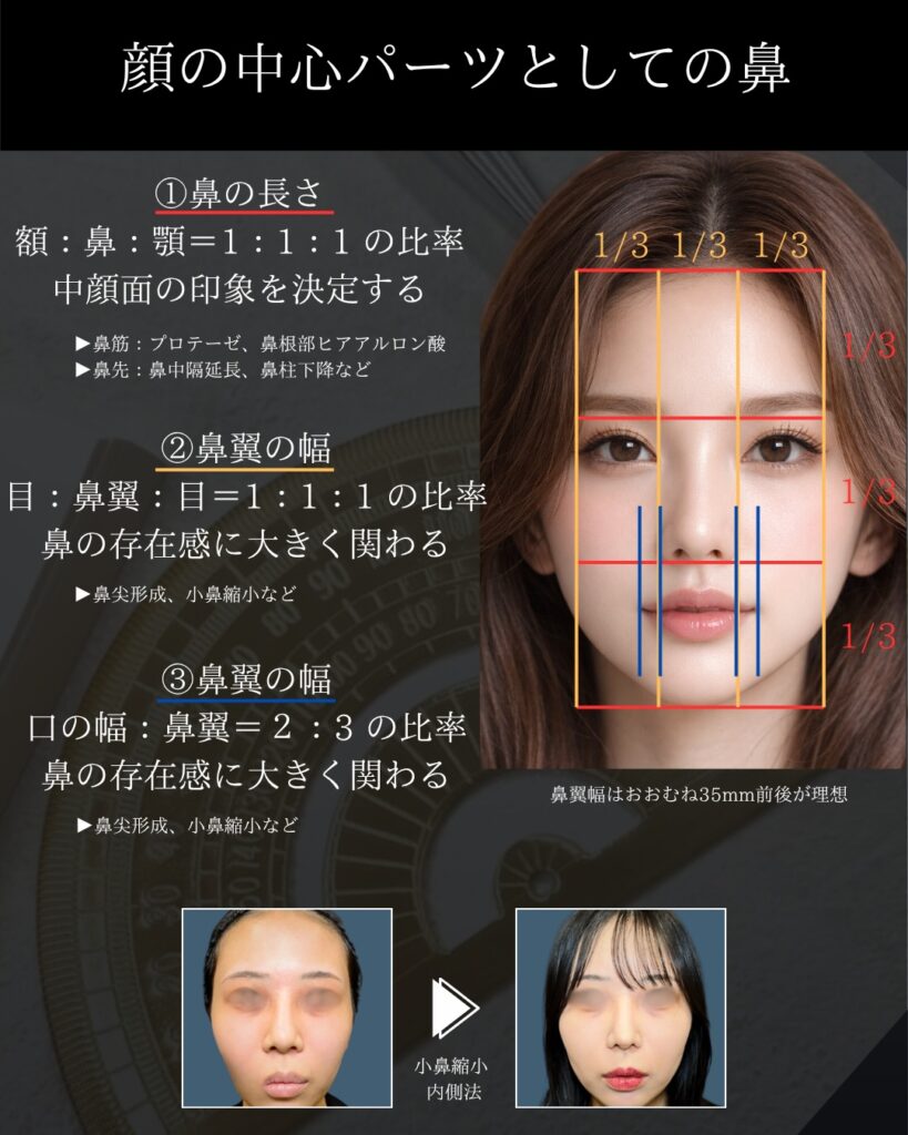 鼻整形美学の説明 (1)